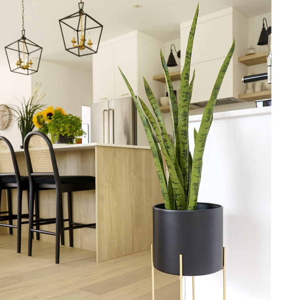Artificial green snake plant, 30" - Image 3 - Décors Véronneau
