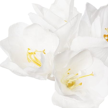 Amaryllis blanche artificielle, 31
