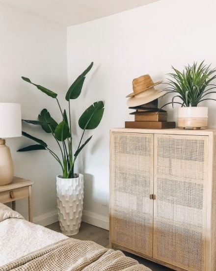 Artificial bird of paradise, 60'' - Image 3 - Décors Véronneau