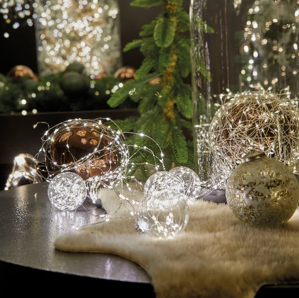 40 lumières DEL sur fil argent, blanc froid, int, 6,5'