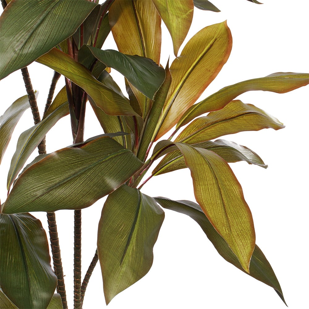 Artificial fructicosa cordyline, 55" - Image 4 - Décors Véronneau