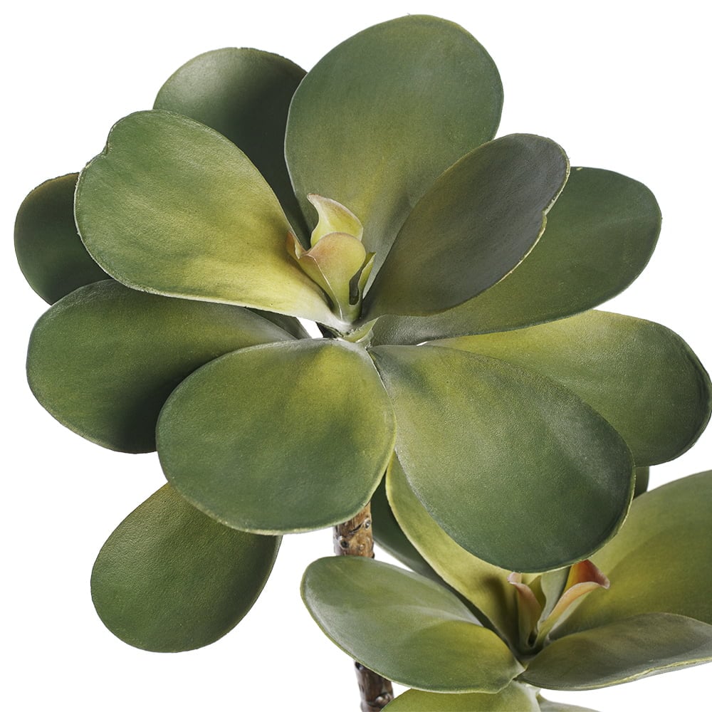 Pic de kalanchoe artificiel, 12'' - Décors Véronneau