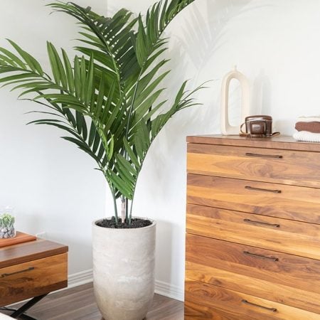 Palmier kentia artificiel, 84