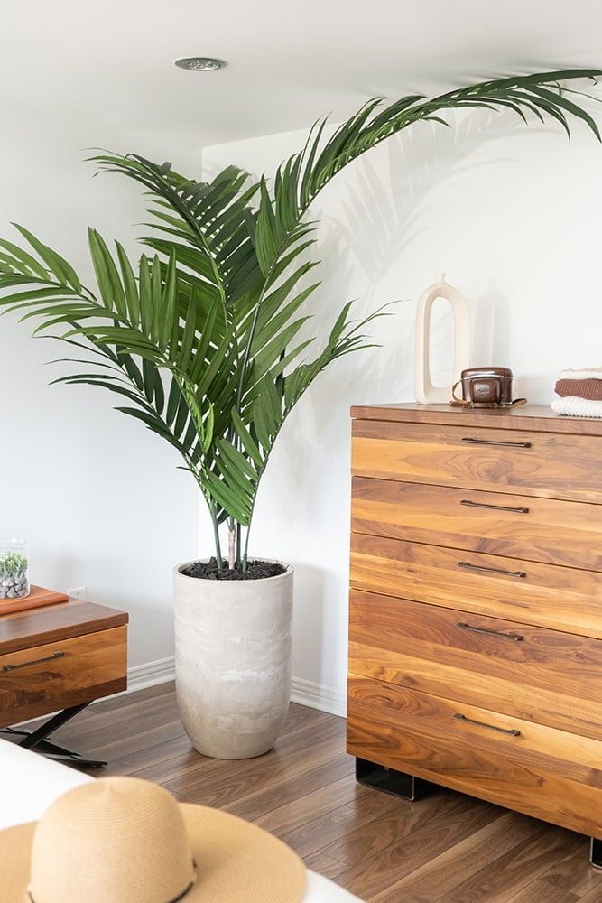 Artificial kentia palm tree, 84