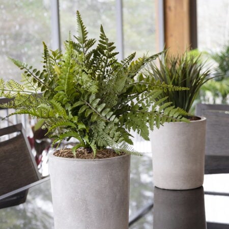 Plant de fougère artificielle en pot, 16 x 18