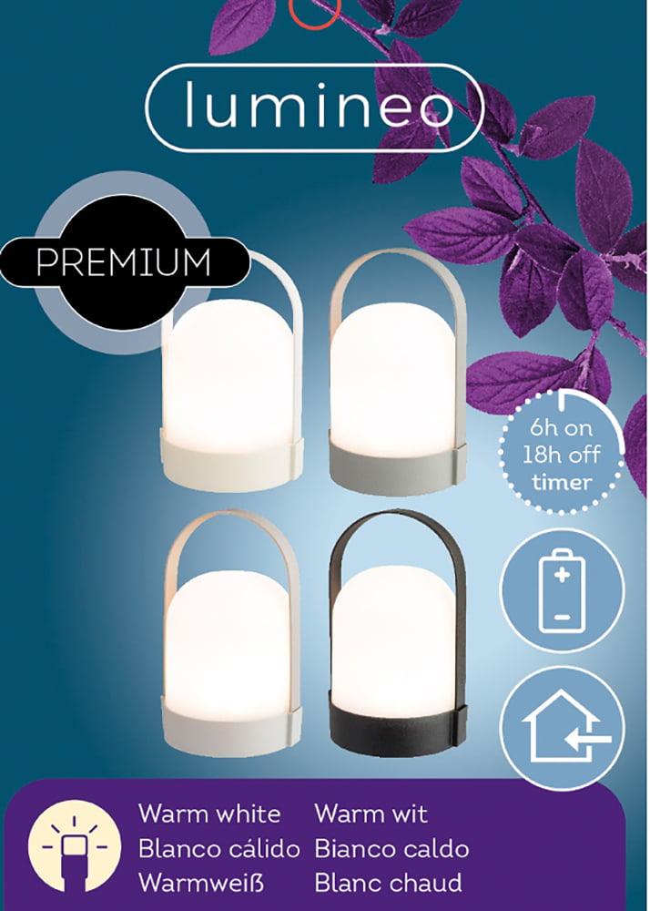 LED outdoor lantern, 8 x 5