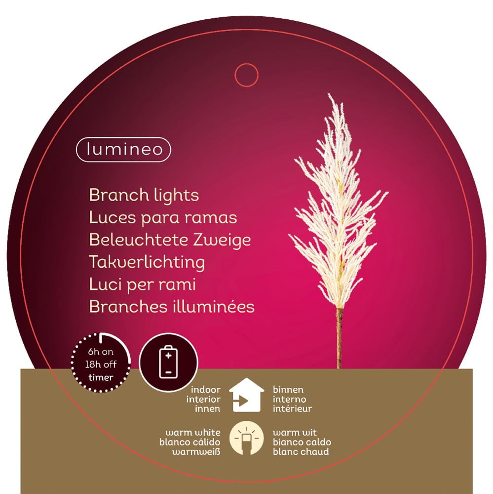 Herbe de la pampa illuminée crème, 31,5