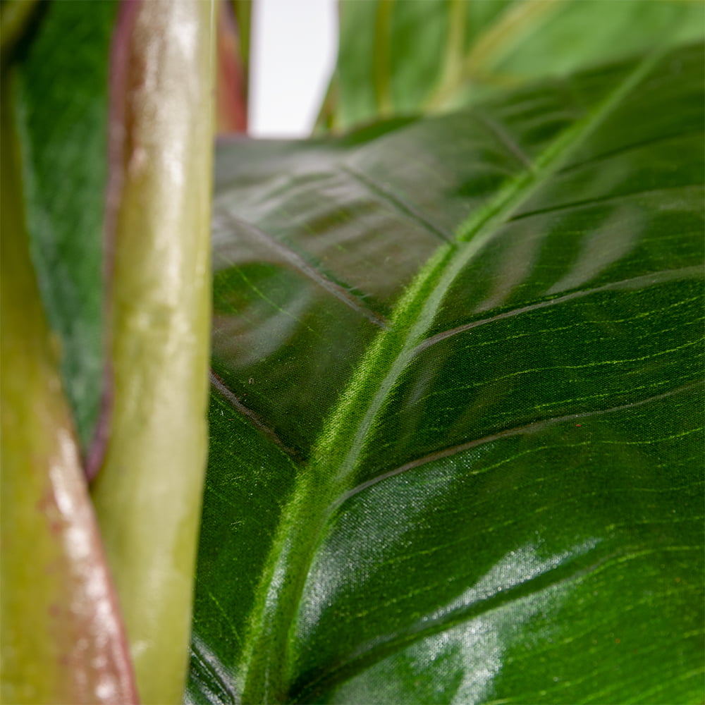 Plante artificielle extérieure, canna rouge, 60'' – Image 5 - Décors Véronneau