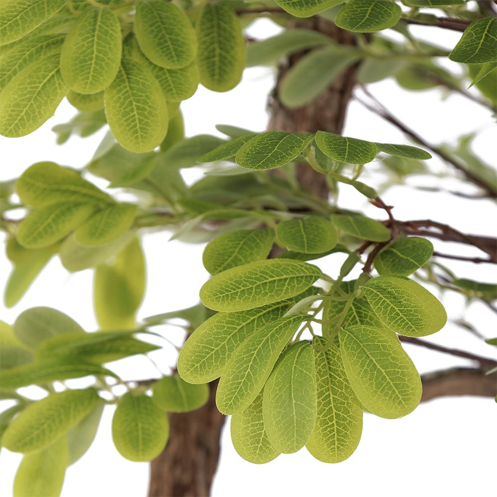 Artificial acacia tree, 5ft Décors Véronneau