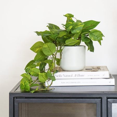 Plant de pothos retombant artificiel, 22