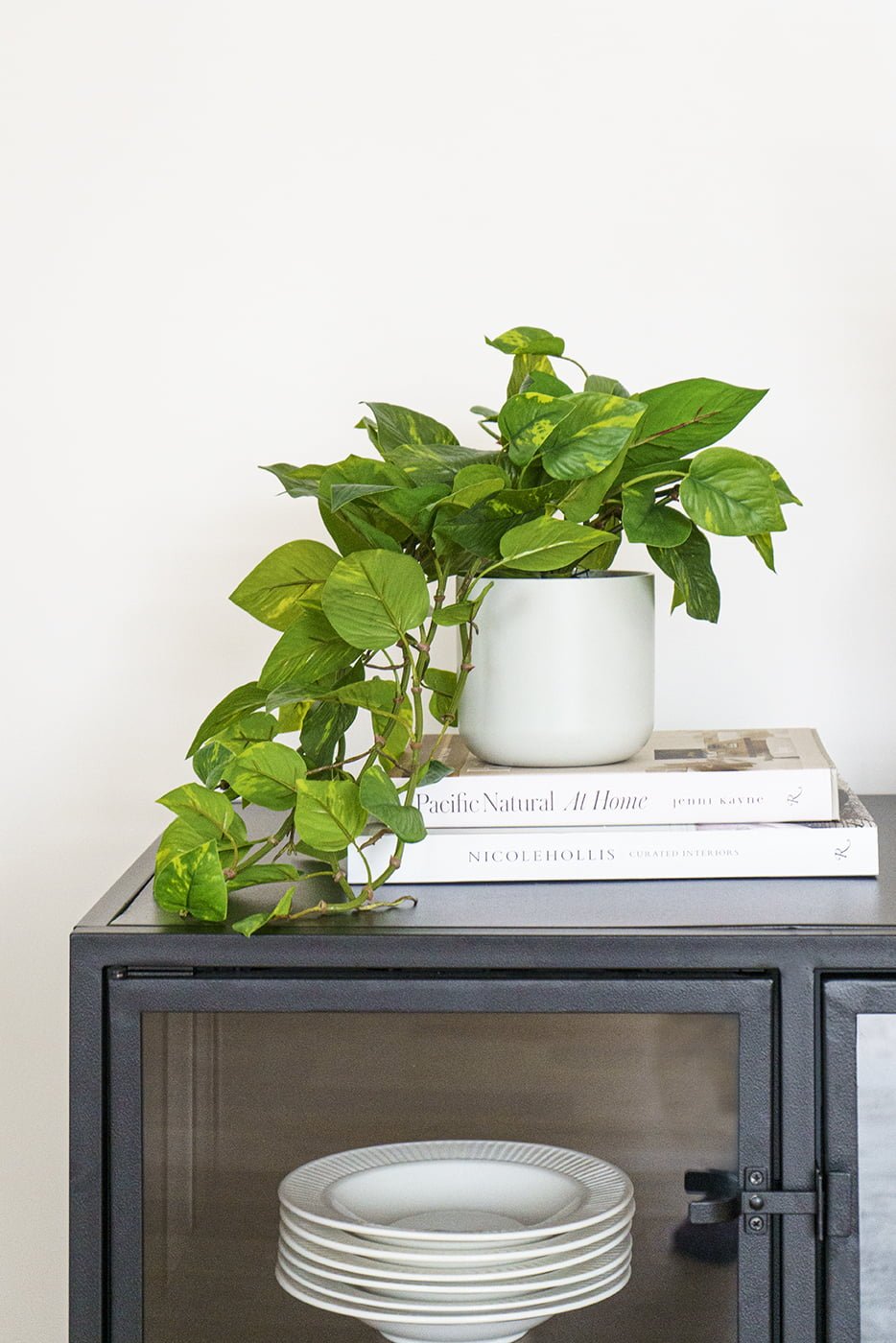 Artificial hanging pothos plant, 22