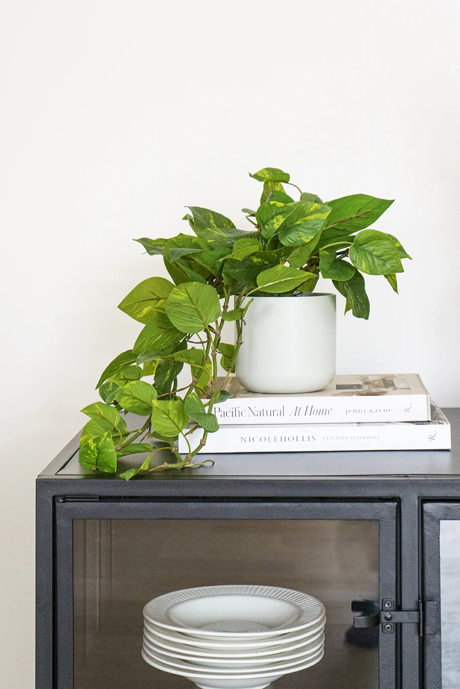 Artificial hanging pothos plant, 22