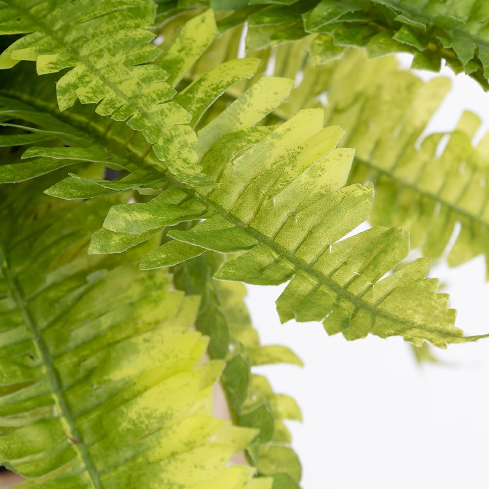 Potted artificial fern plant, 18 x 21