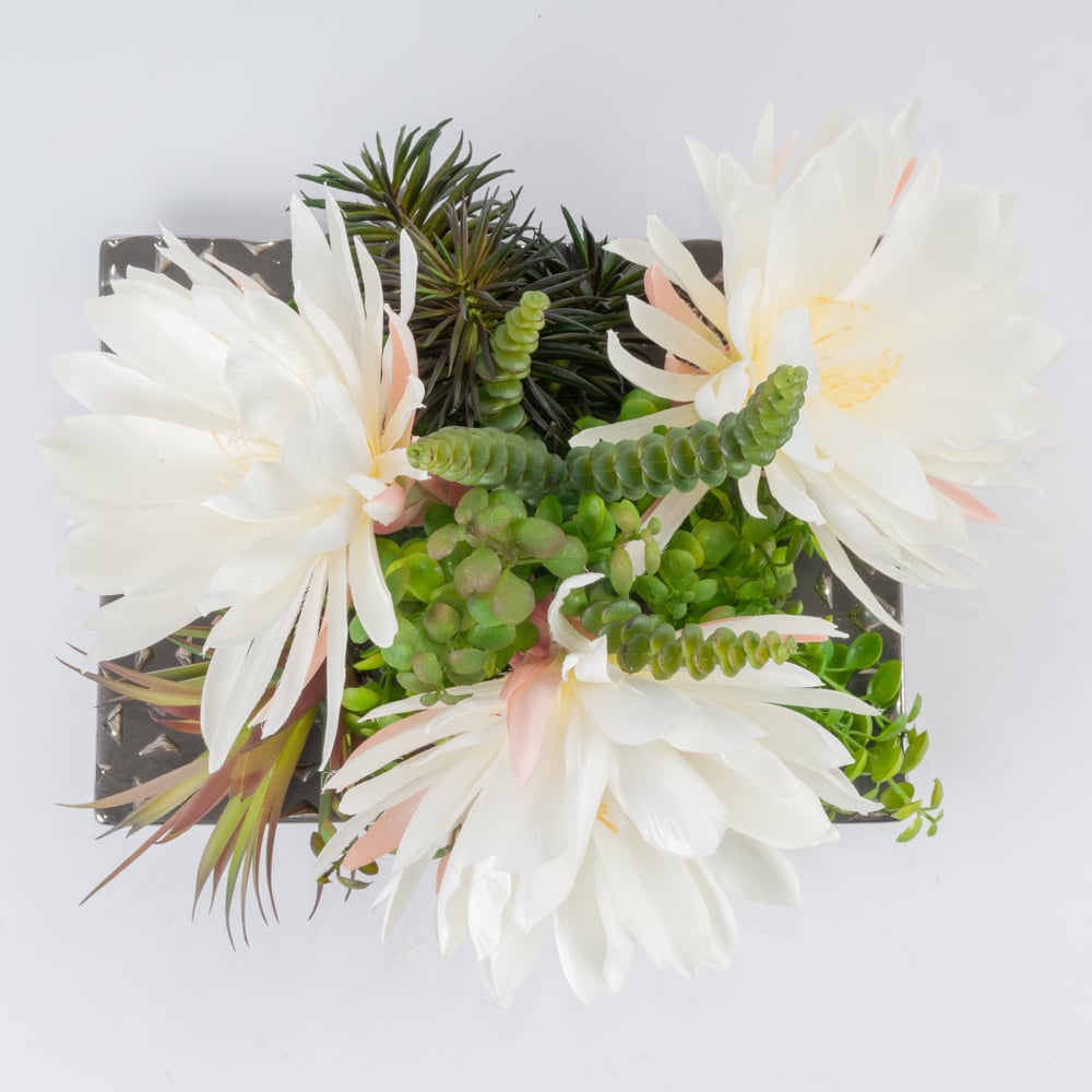 Artificial White Night Blooming Cactus Flower, 32