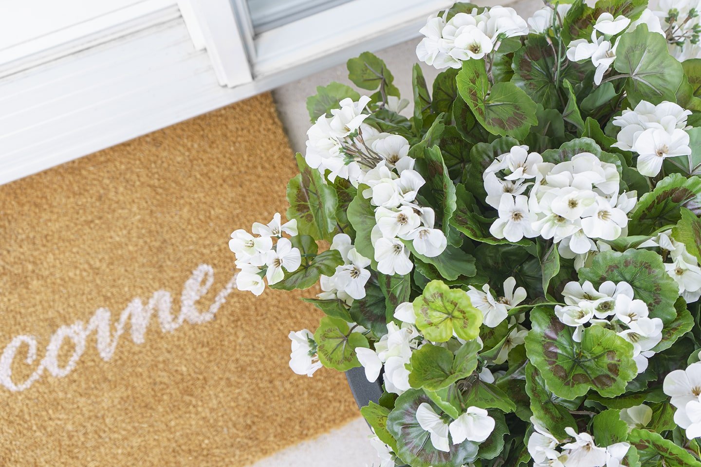 Géranium suspendu extérieur blanc, 35" – Image 6 - Décors Véronneau