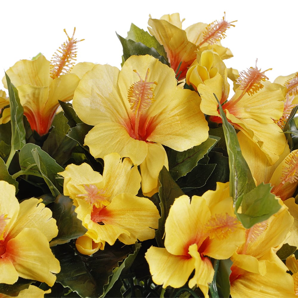 Potted yellow hibiscus, 28 x 20