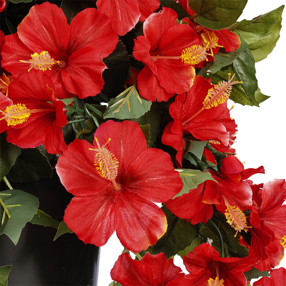 Potted red hibiscus, 28 x 20