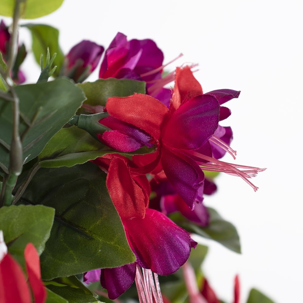 Fuchsia outdoor hanging flower basket, 24 x 22