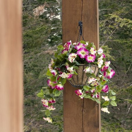 Pétunia suspendu extérieur rose et blanc - Décors Véronneau