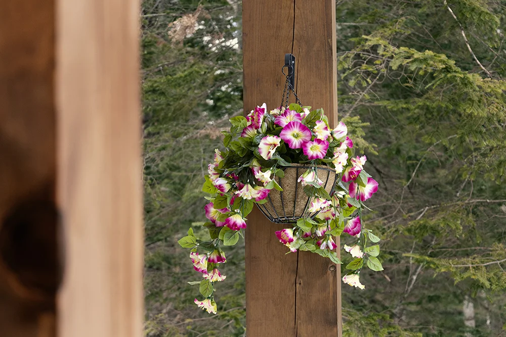 Petunia outdoor hanging flower basket, 24 x 22
