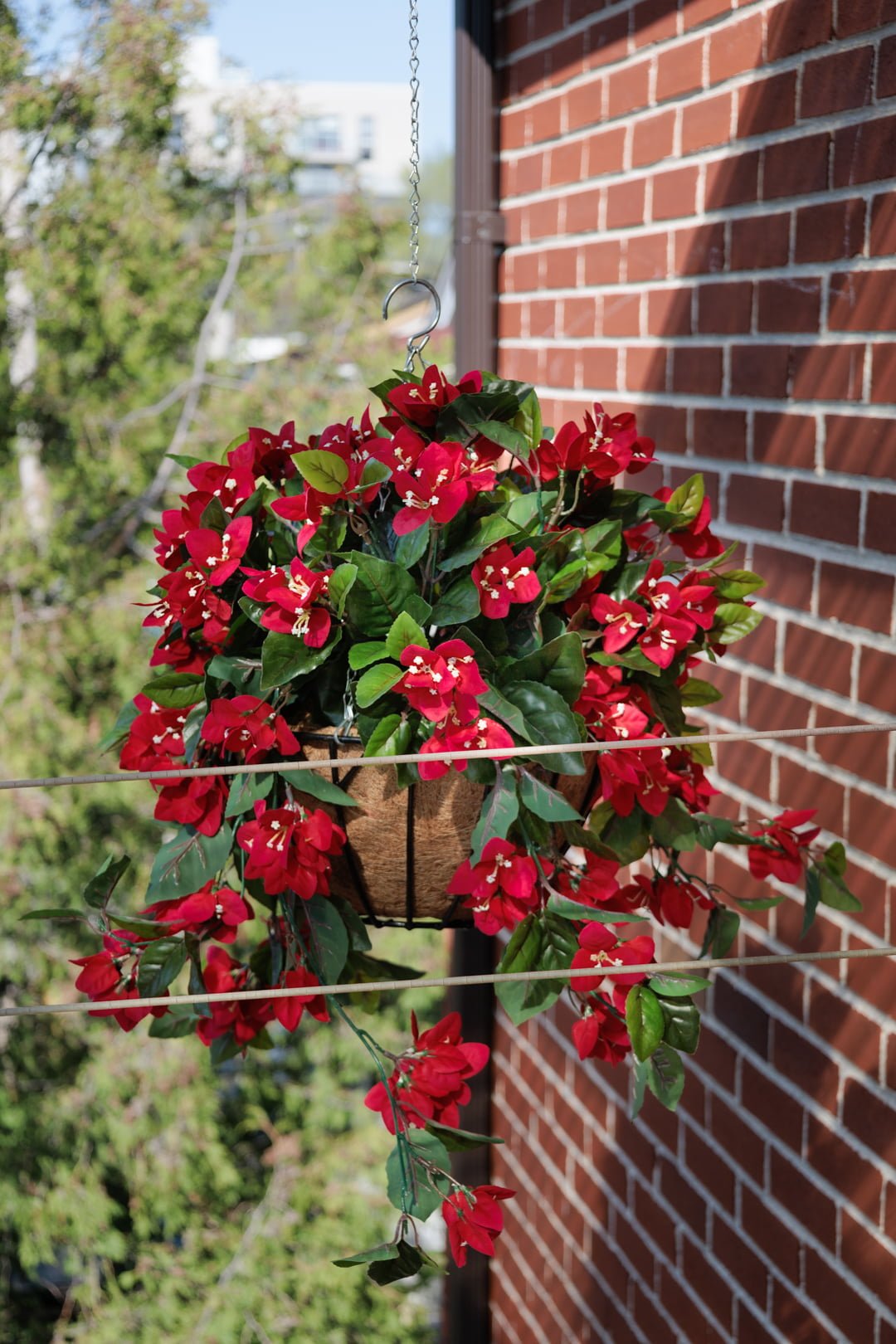 Bougainvillea outdoor hanging flower basket, 24 x 22