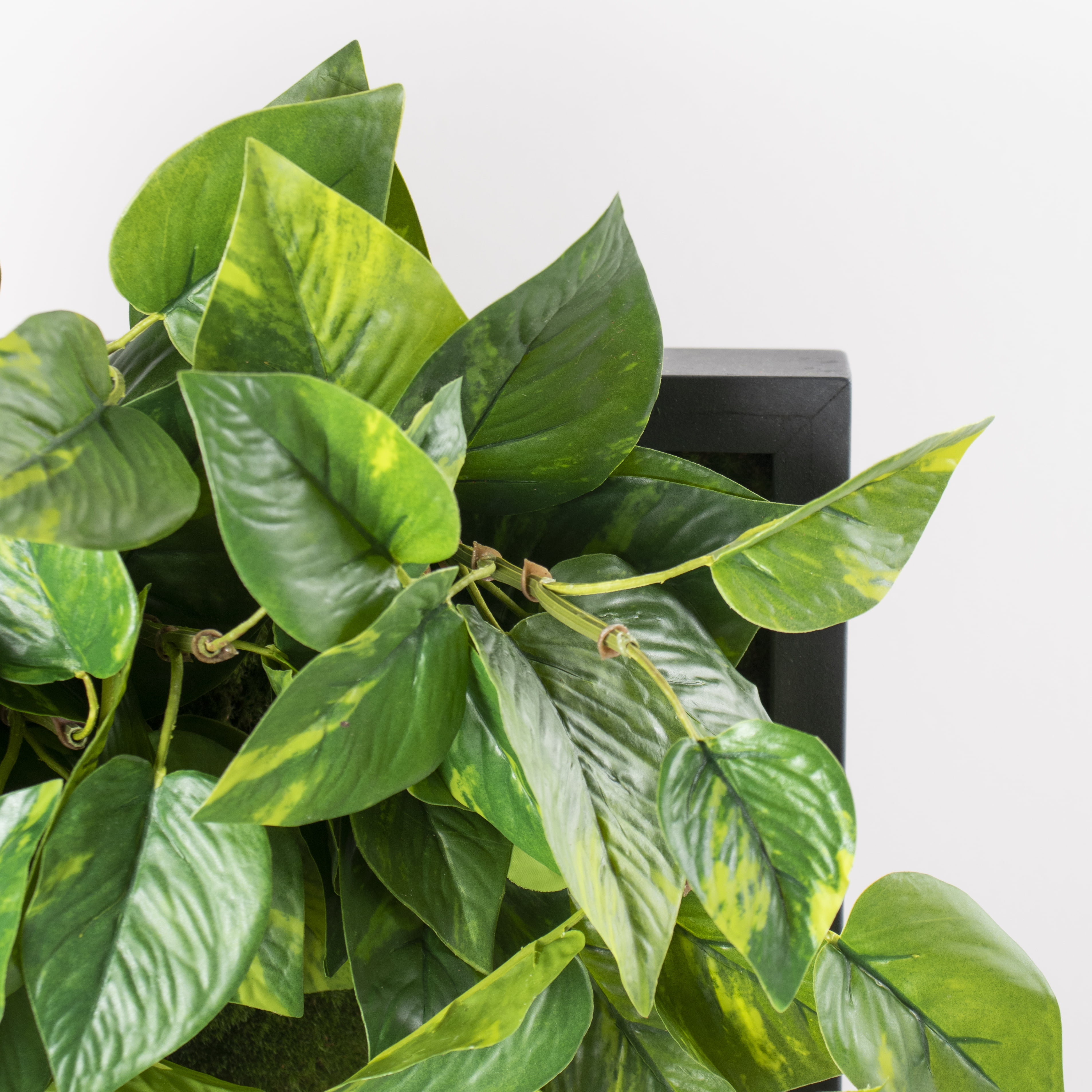 Pothos artificial indoor plant wall, 20 x 16
