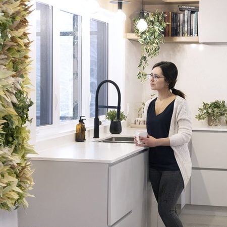 Mur végétal d'eucalyptus jaune et vert, 30 x 48