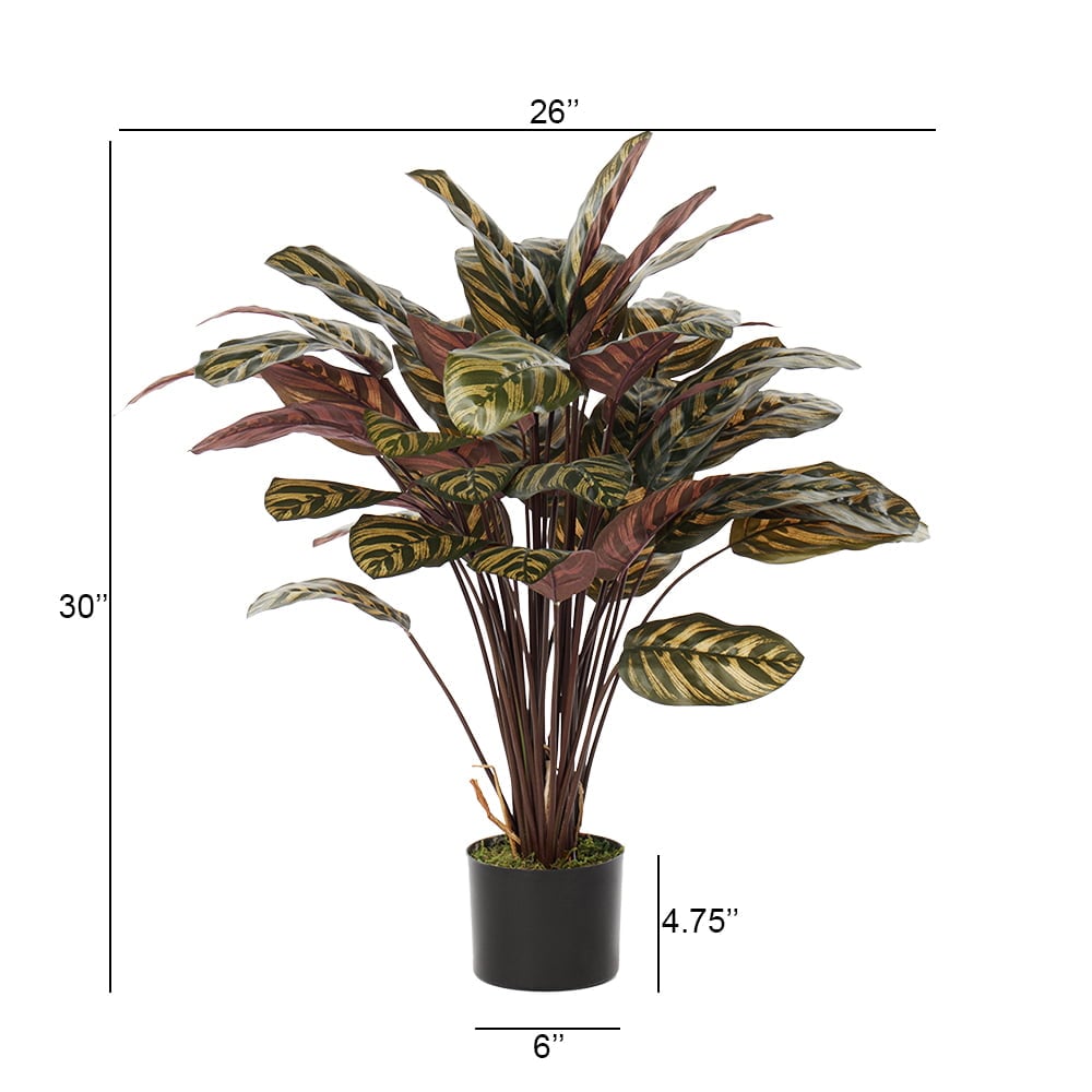 Makoyana calathea artificial plant, 30" - Image 4 - Décors Véronneau