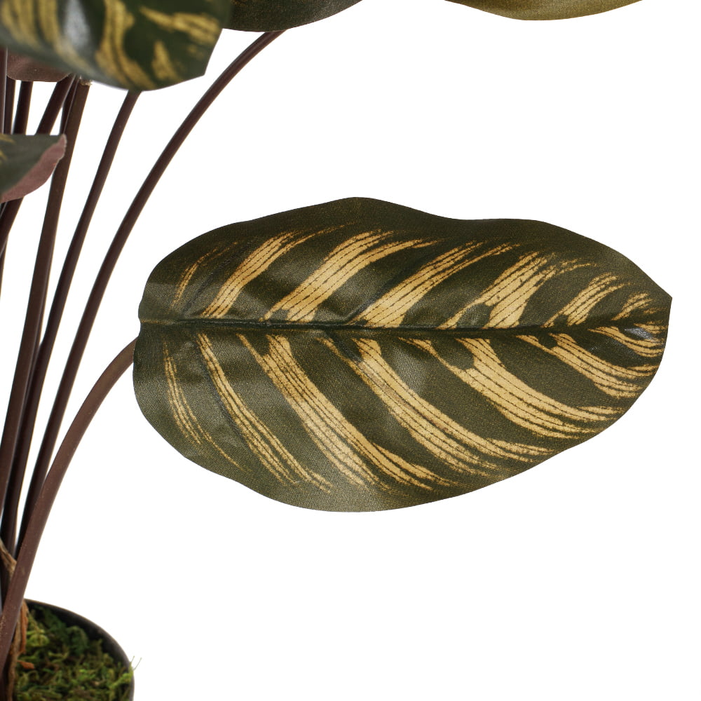 Makoyana calathea artificial plant, 30" - Image 5 - Décors Véronneau