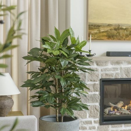 Buisson schefflera artificiel, 48