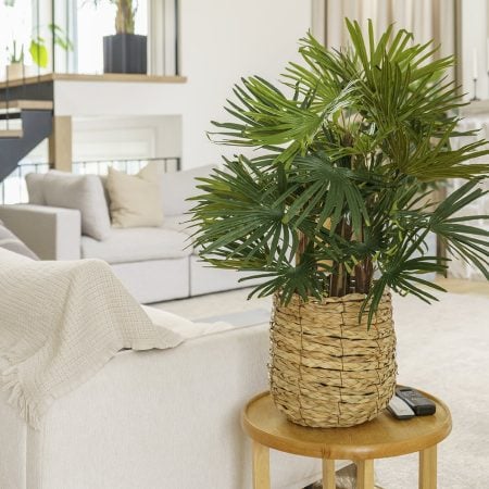Plante artificielle palmier raphis, 28