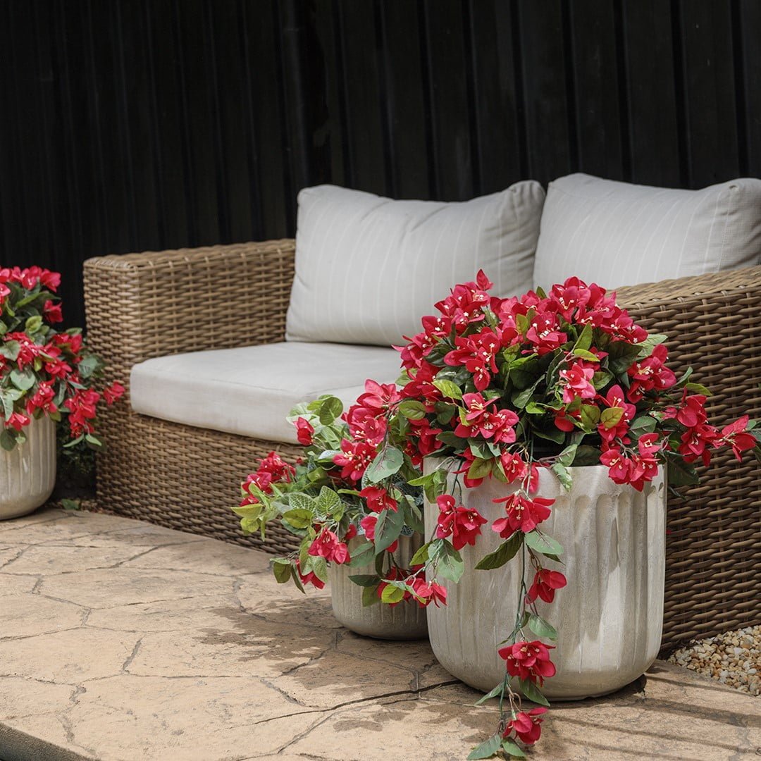 Bougainvillier suspendu extérieur, 30,5" – Image 3 - Décors Véronneau