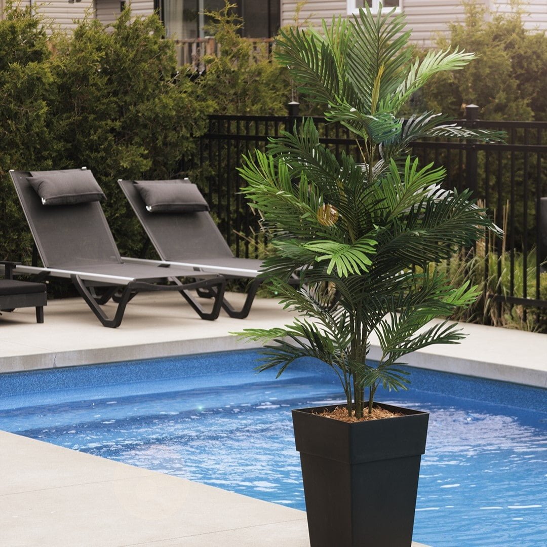 Palmier Areca en Pot Extérieur, 60