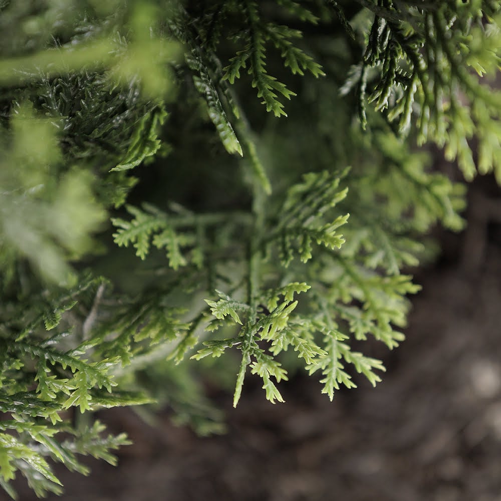 Artificial potted outdoor cedar, 68'' - Image 6 - Décors Véronneau