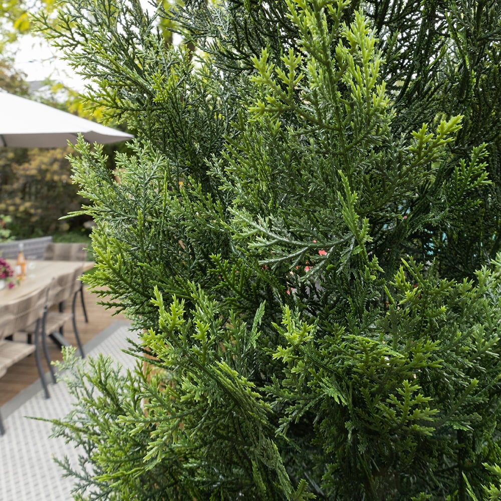 Artificial potted outdoor cedar, 68'' - Image 5 - Décors Véronneau