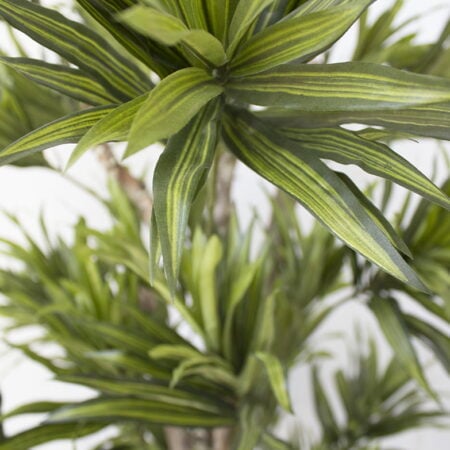 Arbre dracaena vert lime artificiel fait main - Décors Véronneau