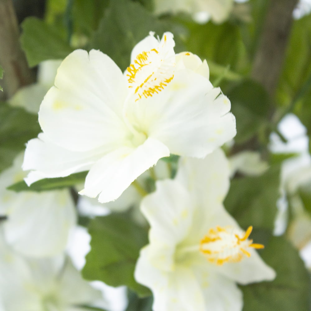Hibiscus suspendu extérieur blanc, 35" – Image 7 - Décors Véronneau
