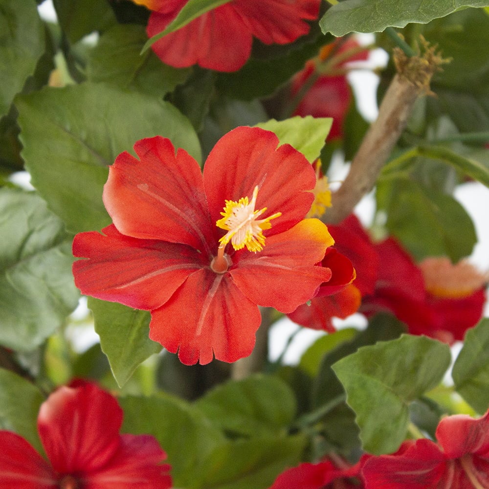 Arbre d'hibiscus rouge artificiel extérieur – Image 4 - Décors Véronneau