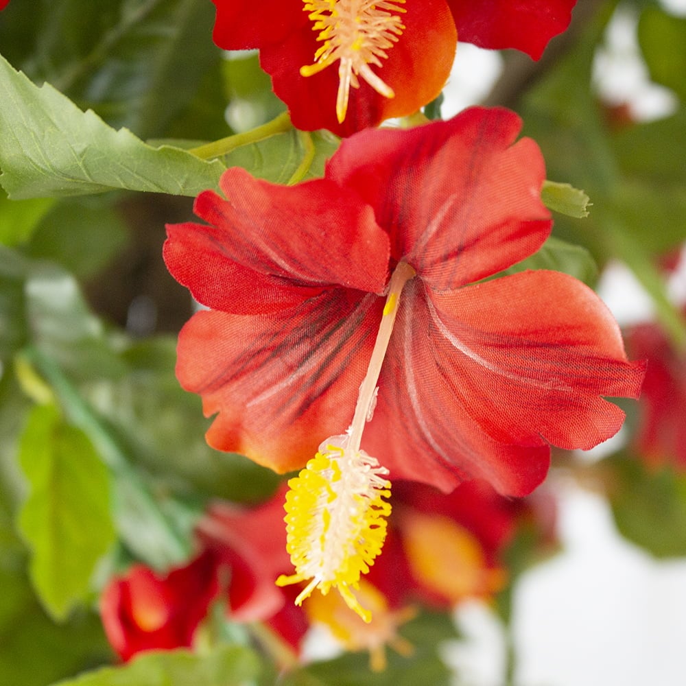 Exterior red hibiscus hanging bush, 35" - Image 6 - Décors Véronneau