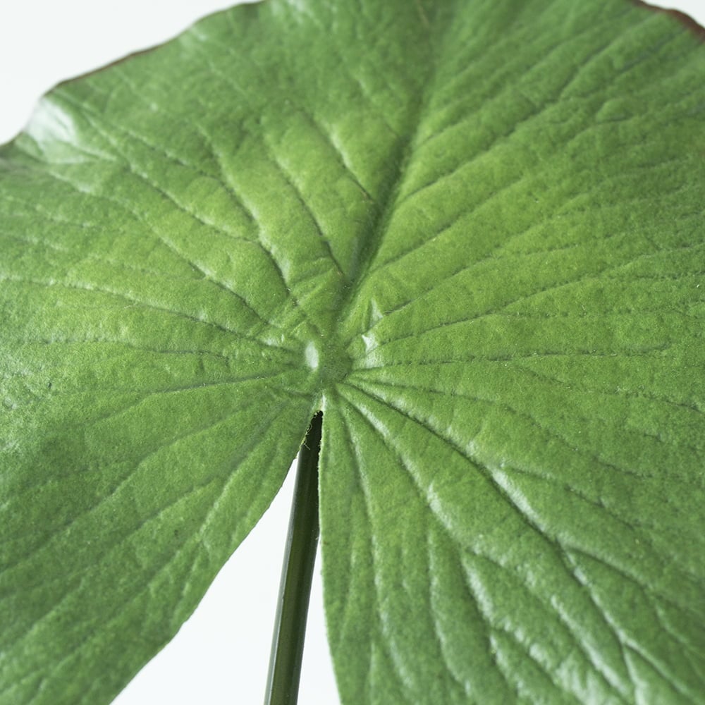 Artificial water lily leaf, 24'' - Décors Véronneau