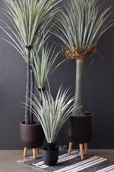 Dracaena artificiel, 3 troncs, 63" – Image 3 - Décors Véronneau