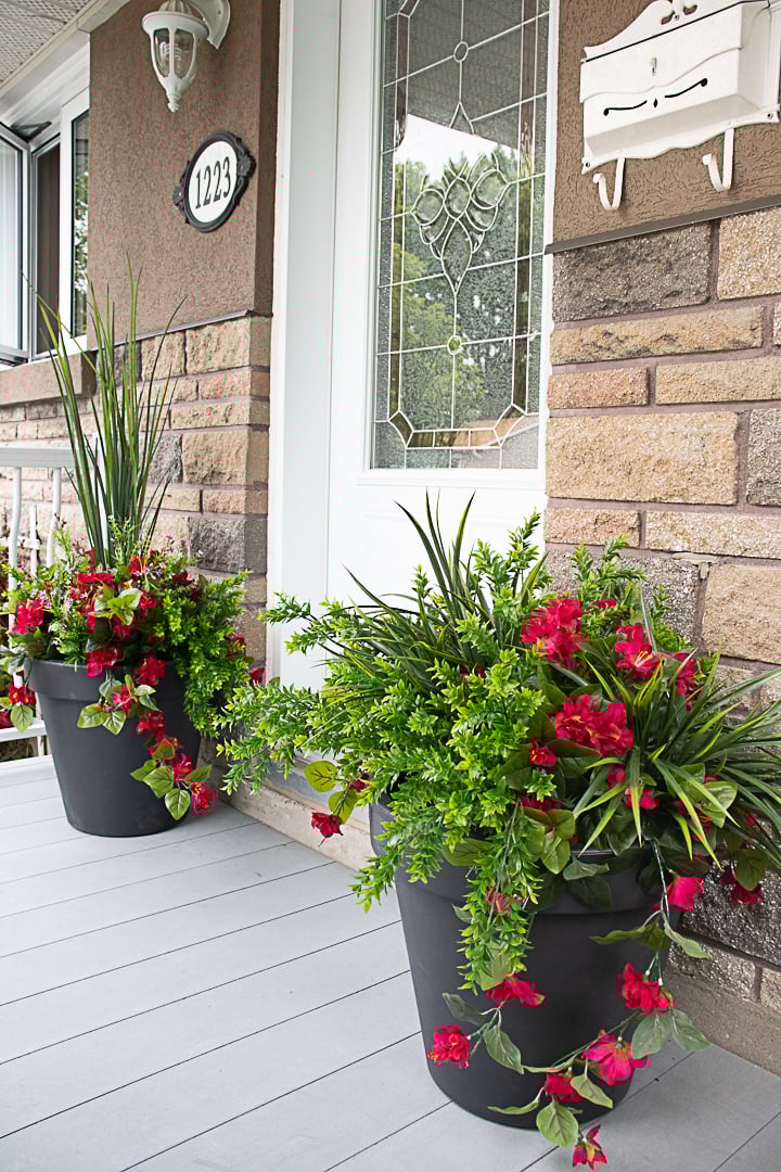 Pink outdoor hanging azalea, 29