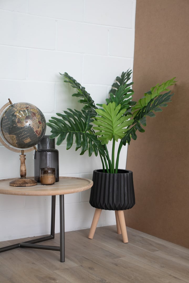 Artificial philodendron, 34