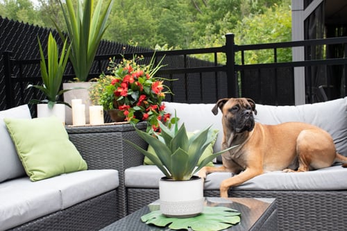 Outdoor hanging flower pot with red hibiscus, 27 x 20