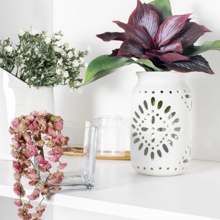 Petites succulentes roses et retombantes 14