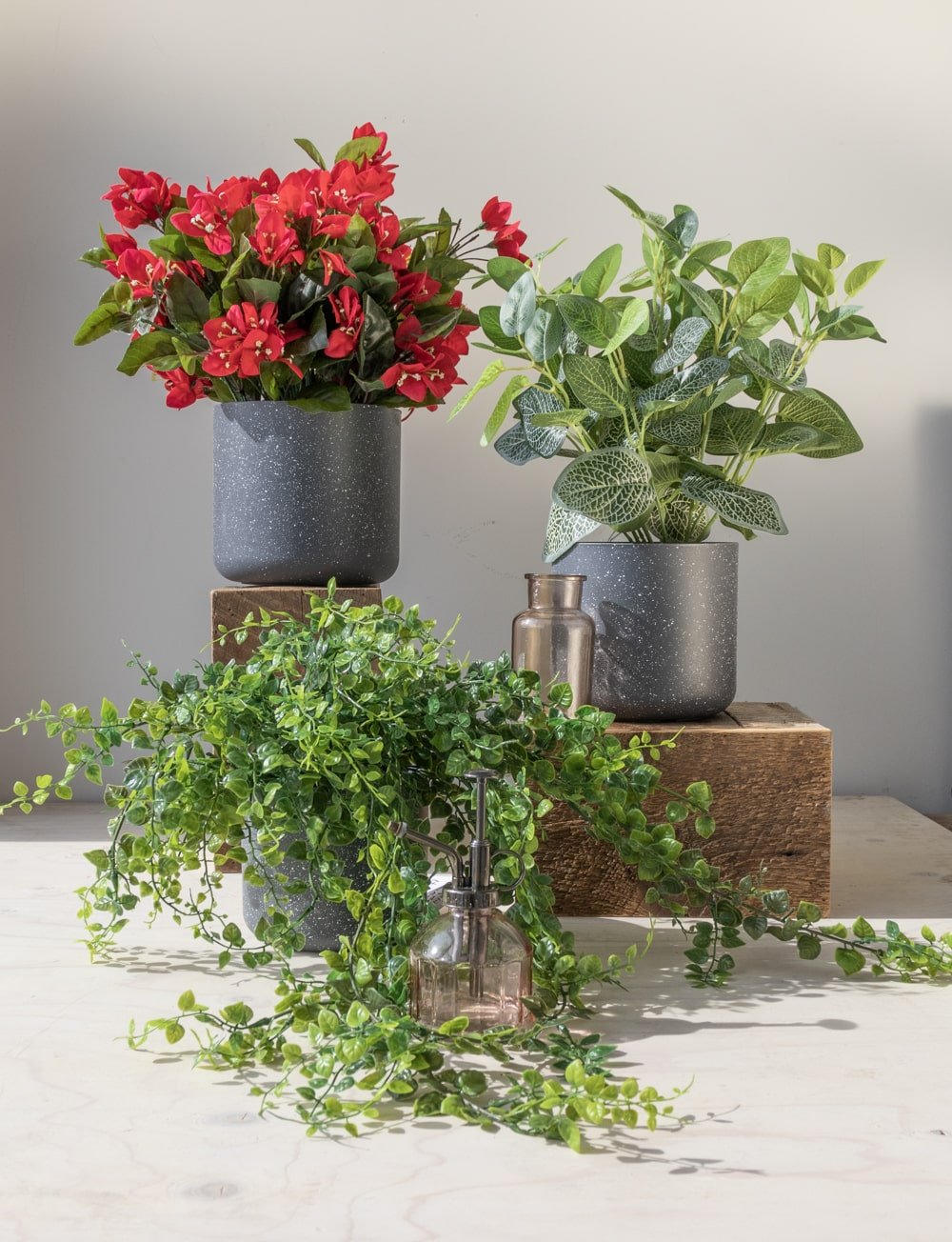 Bougainvillier suspendu extérieur, 30,5" – Image 7 - Décors Véronneau