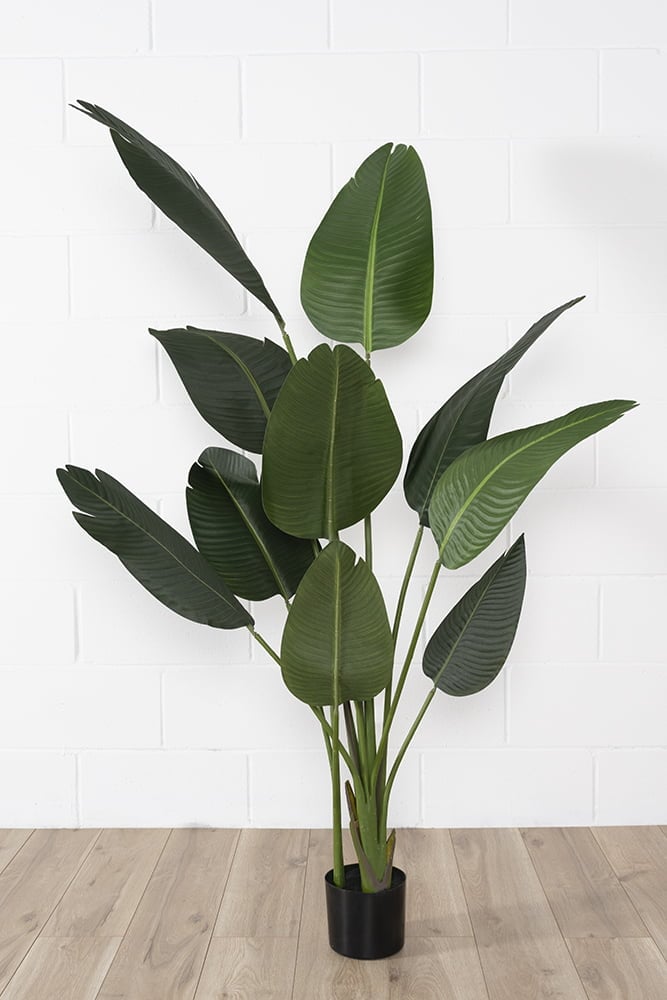 Artificial bird of paradise, 60'' - Image 5 - Décors Véronneau