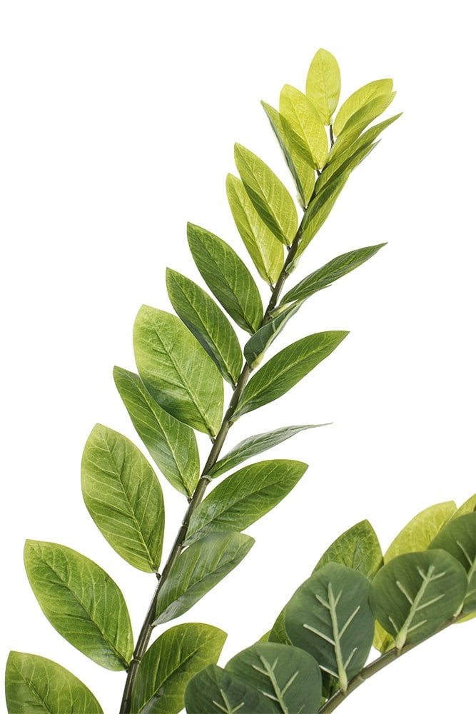 Plante artificielle zamioculcas, 51" – Image 5 - Décors Véronneau