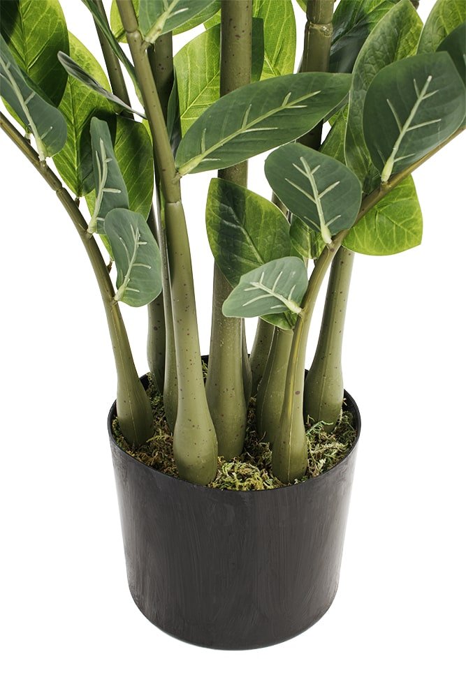 Plante artificielle zamioculcas, 51" – Image 6 - Décors Véronneau