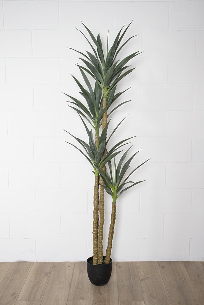 Agave sisalana artificiel, 4 troncs, 71'' – Image 4 - Décors Véronneau